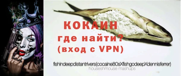гашиш Богданович