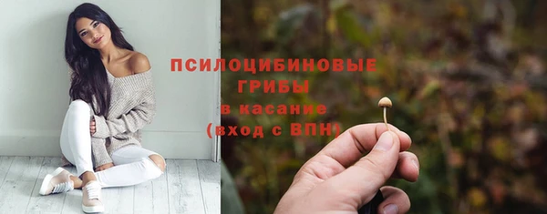 амфетамин Богородицк