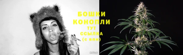 гашиш Богданович