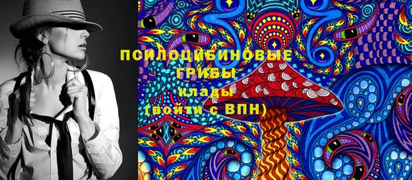 гашиш Богданович