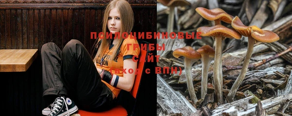 амфетамин Богородицк
