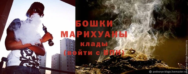 гашиш Богданович