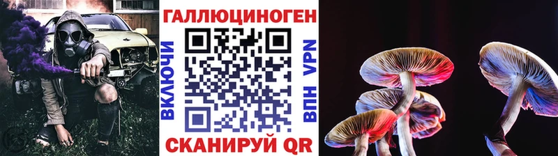 закладки  Нижний Тагил  Галлюциногенные грибы мицелий 